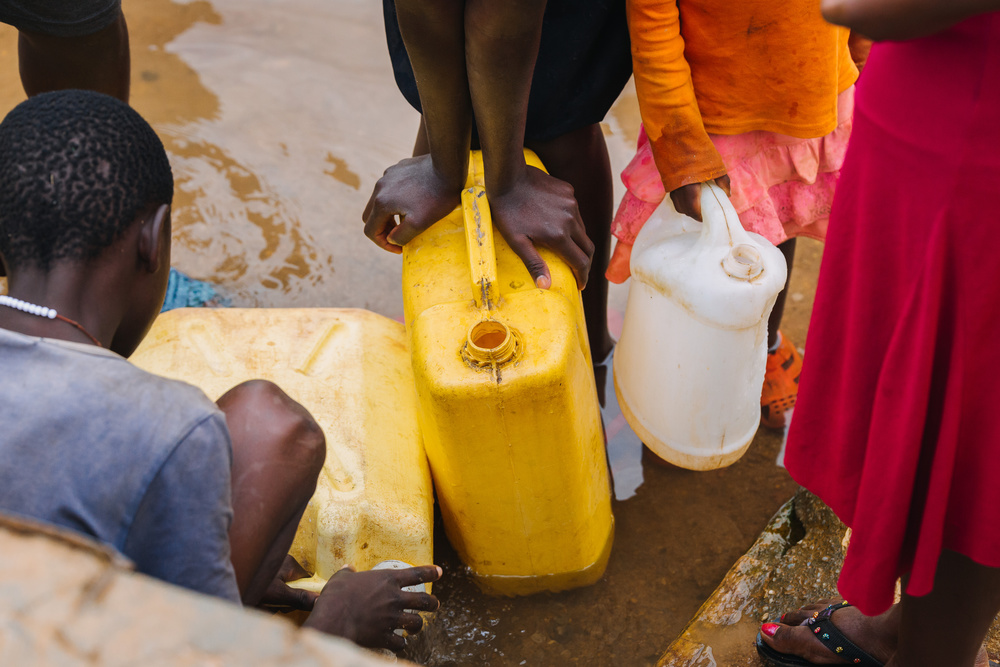 棕榈油是什么油