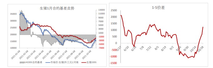 生猪生产仍在惯性增长 价格下行周期尚未结束