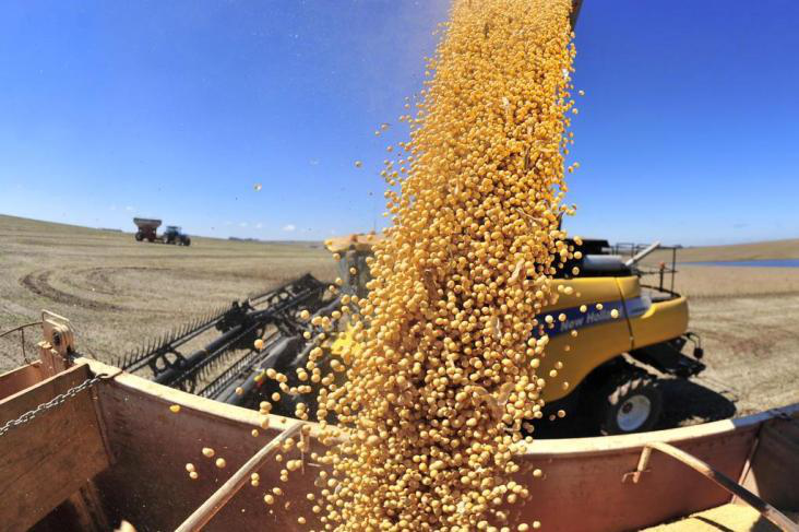 美国大豆不吃香了！巴西价格更实惠 12天发货150万吨！