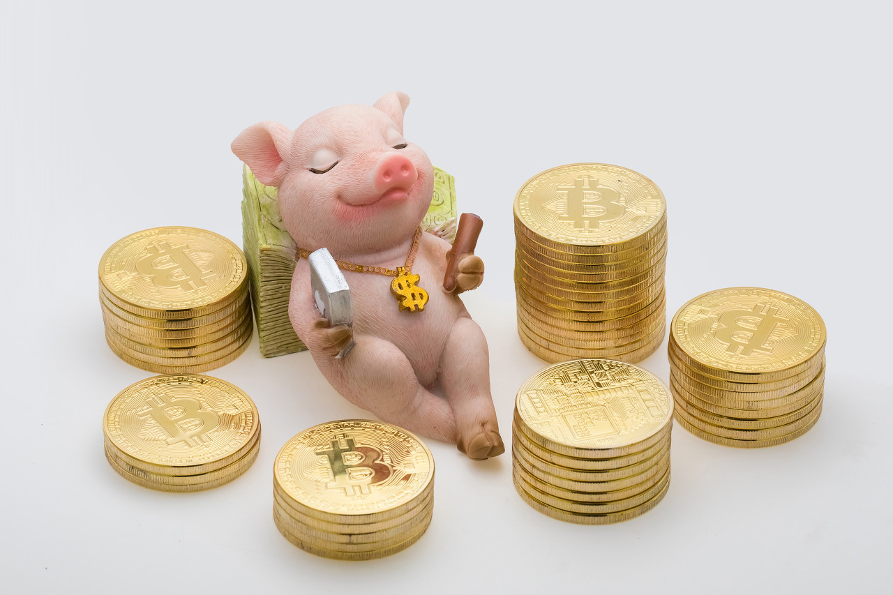 白金市价
