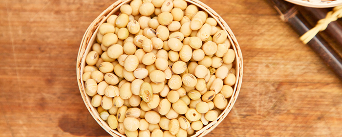 豆一和豆二合约的区别