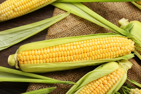 玉米期货投资