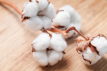 短期棉花市场不容乐观 压力来自需求的持续偏弱