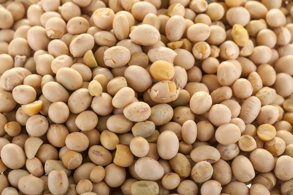 拒绝粮食安全“卡脖子” 中国计划到2025年将大豆提产40%！