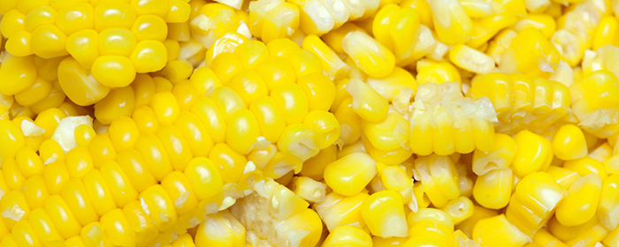 玉米的种类有哪些