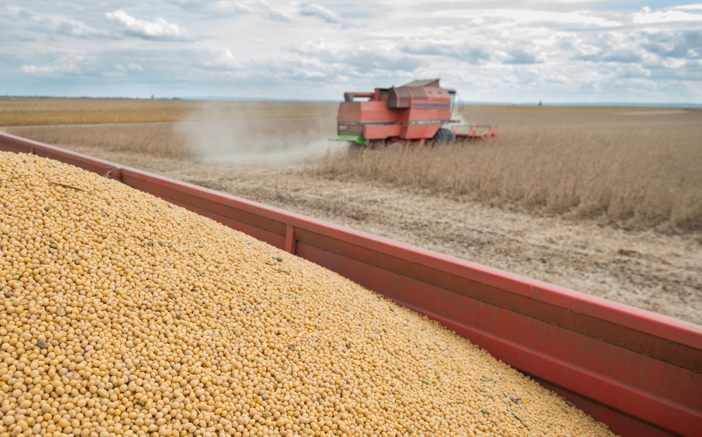 国储大豆抛售给市场带来压力 美豆出口旺盛提振市场