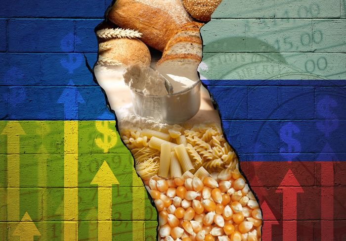 农产品期货涨不停 俄乌危机外溢 粮食涨价或不可逆