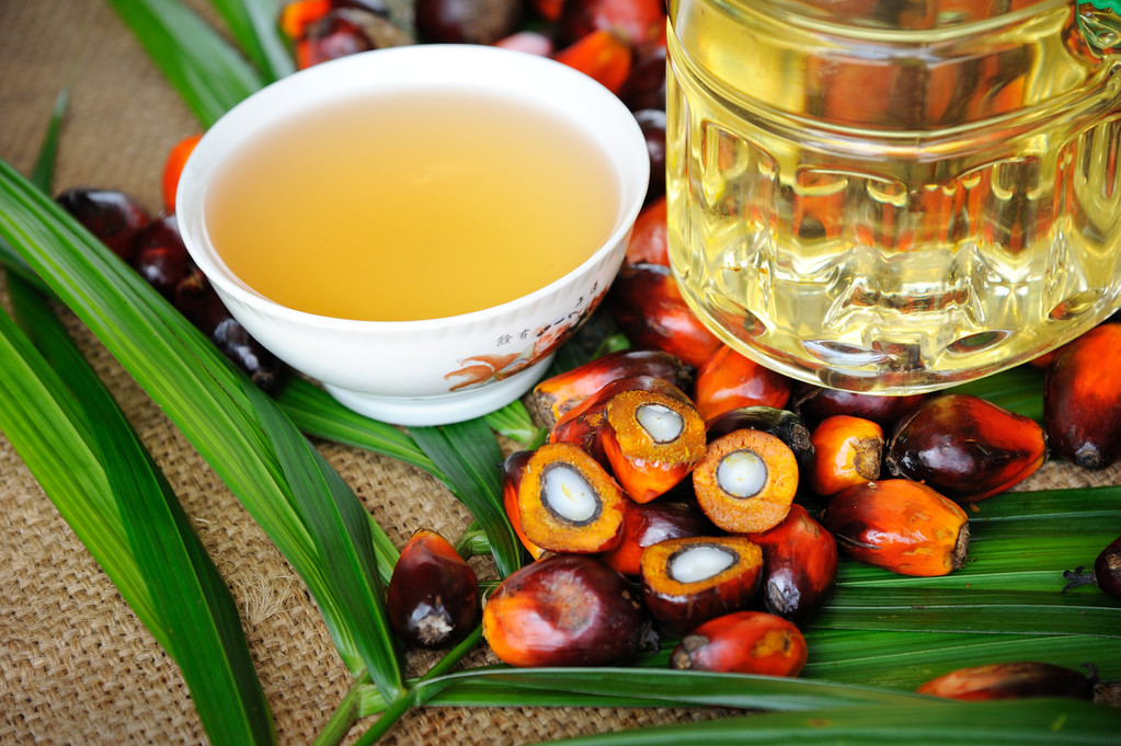 全球植物油供需形势紧张 棕榈油创2008年3月以来新高