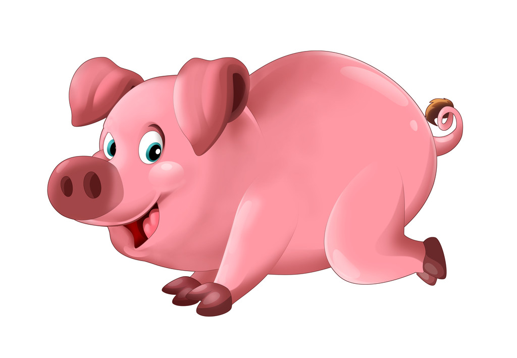 新提案能否解决猪肉难题 猪价仍处下行周期之中