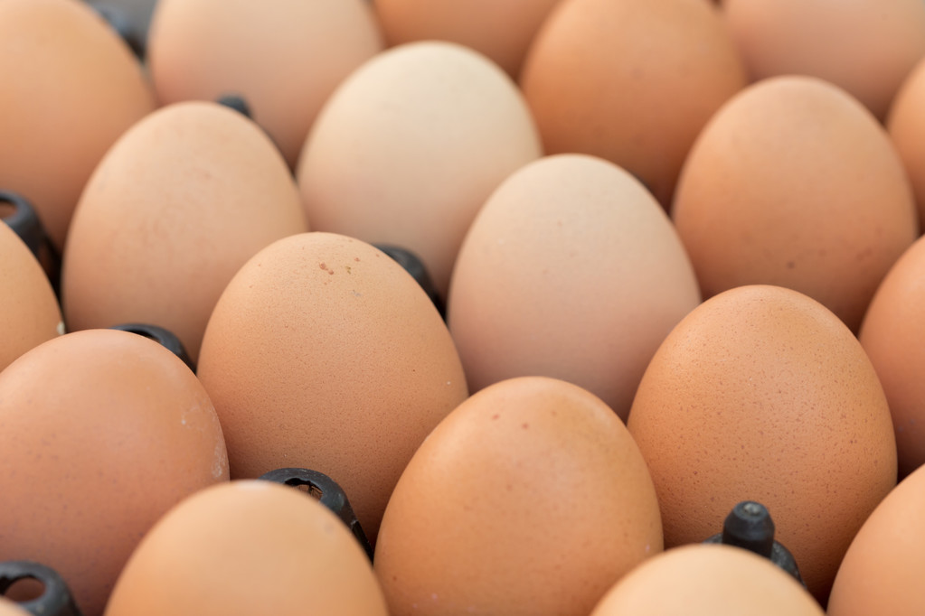 鸡蛋需求略有好转 产销区价格得到提振