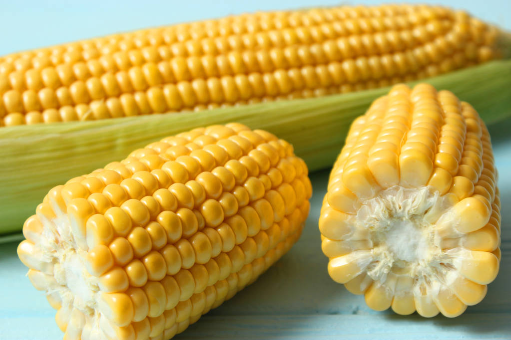 玉米现货价格继续走强 短期玉米或有所回落