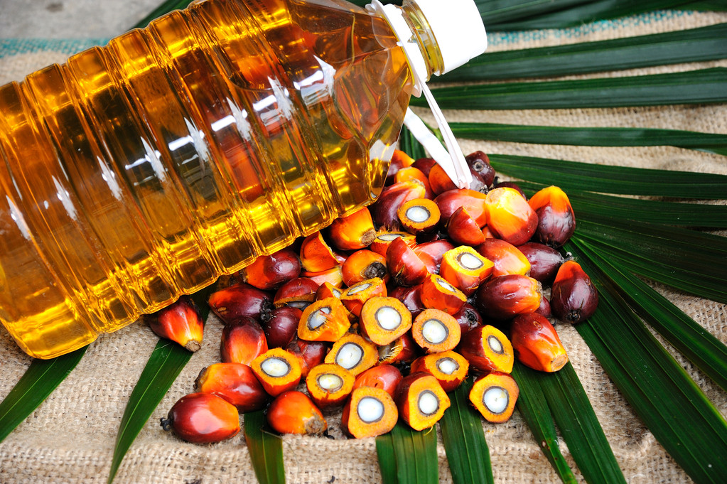 强现实弱预期格局下 棕榈油跌超5%领跌三大油脂