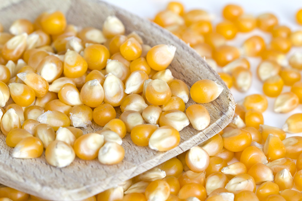 国内全年谷物供应整体充裕 玉米购销活跃度下降