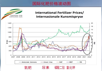 化肥价格涨不停 全球粮食持续涨价 中国也受到波及