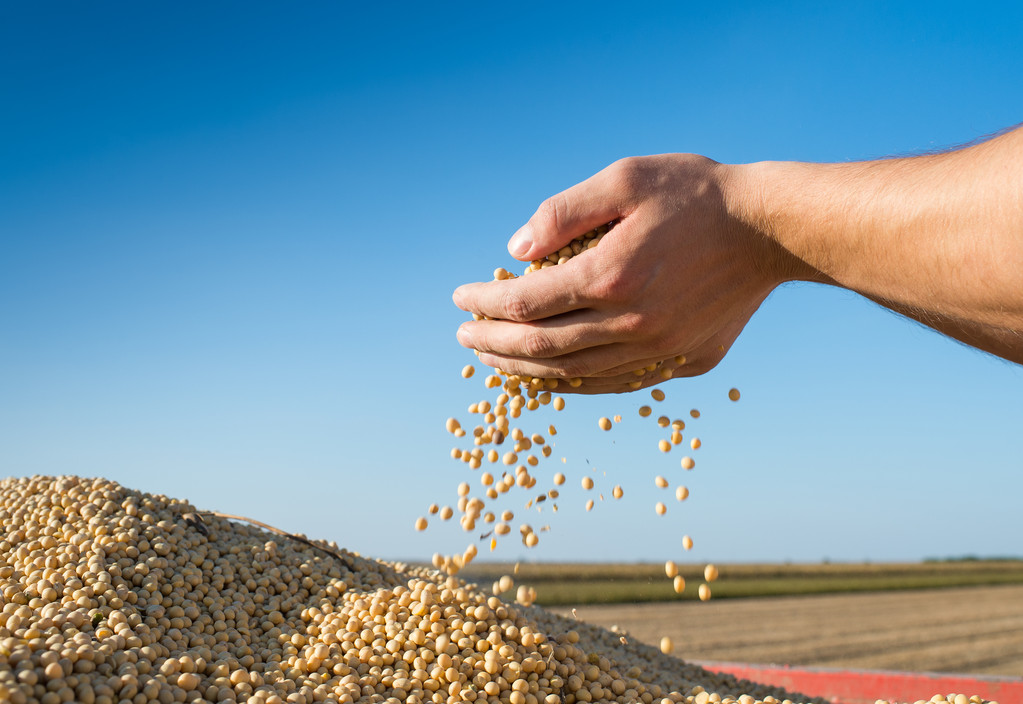 农产品市场要闻：USDA种植意向报告前瞻 本周大豆压榨量预计偏低