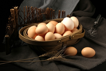 终端消费难言乐观 鸡蛋现货受饲料成本推动