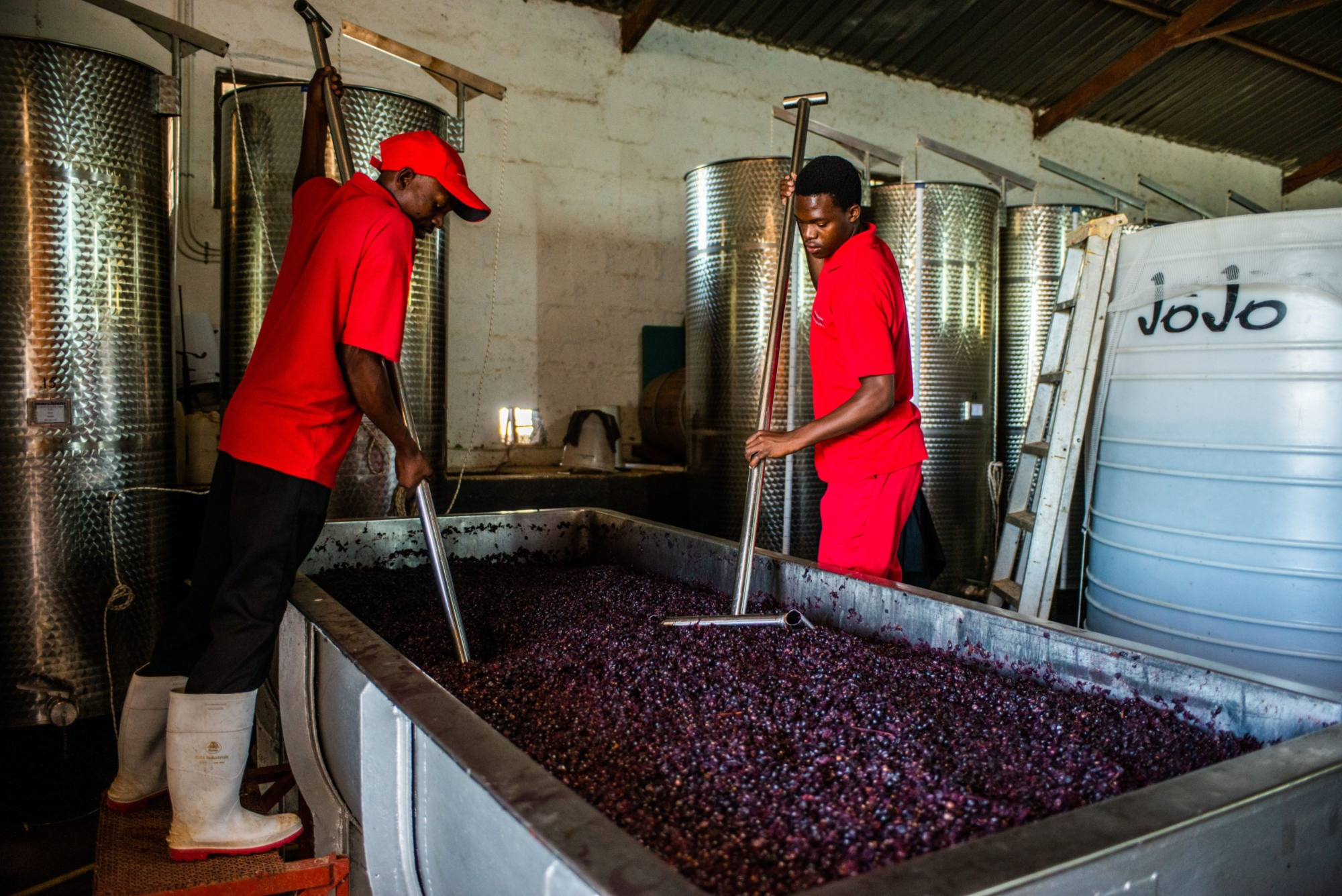 南非葡萄酒为占据中国市场“使出浑身解数” 澳商真要“凉凉”！