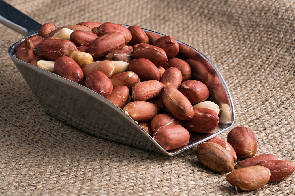 俄外交官员:俄罗斯已成功适应制裁 花生炒作话题层出不穷