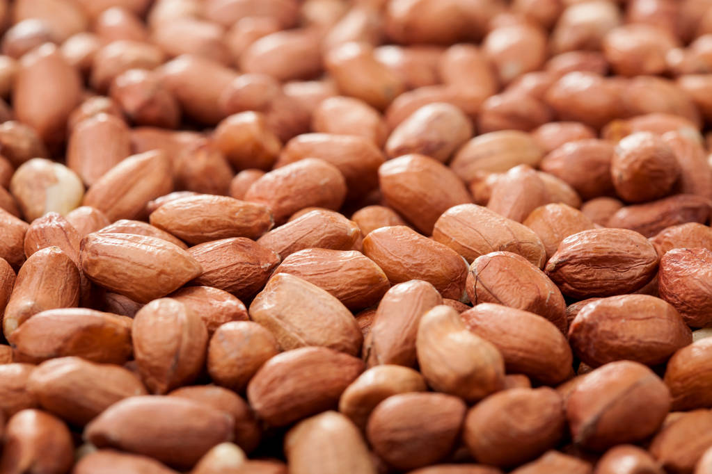 花生种植面积下滑预期较重 后期花生期现货价格重心将震荡上移