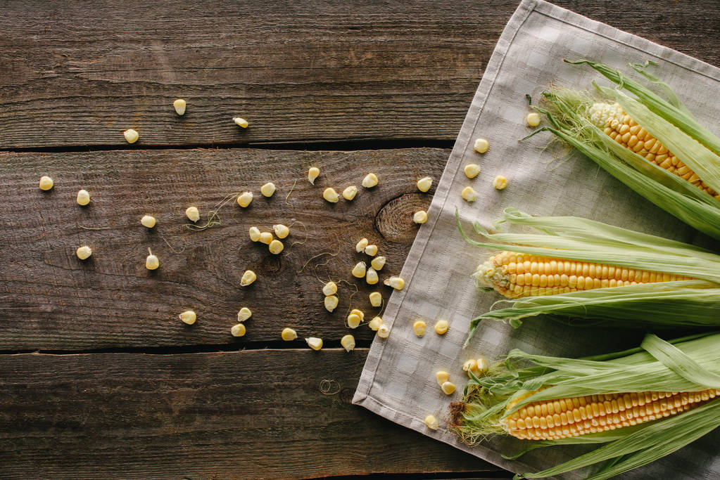 “脆弱”的玉米市场，后半年的发展将何去何从？