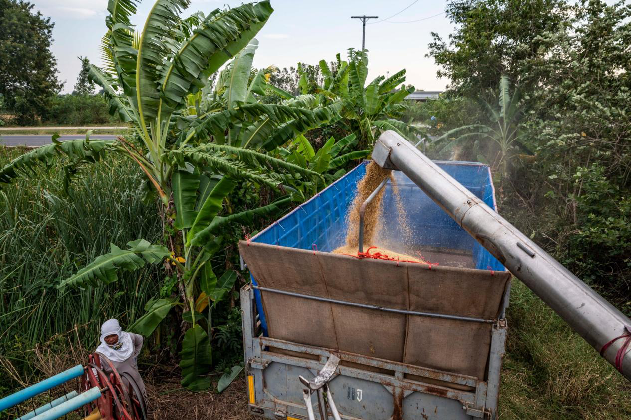 马印限制出口后 泰国乘机“大捞一笔” 1.2万亿即将收入囊中!