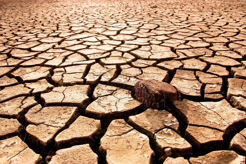美国持续旱灾已对农业和居民生活造成危害