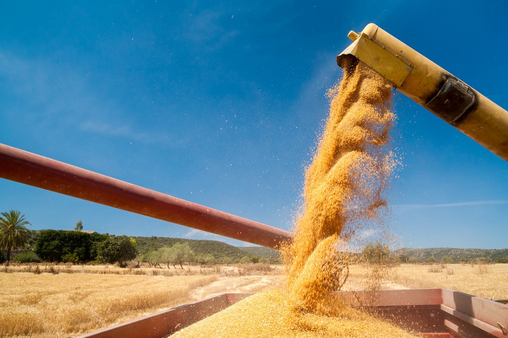 USDA6月供需预测报告新鲜出炉！全球大豆、玉米和棉花市场面临哪些变量？
