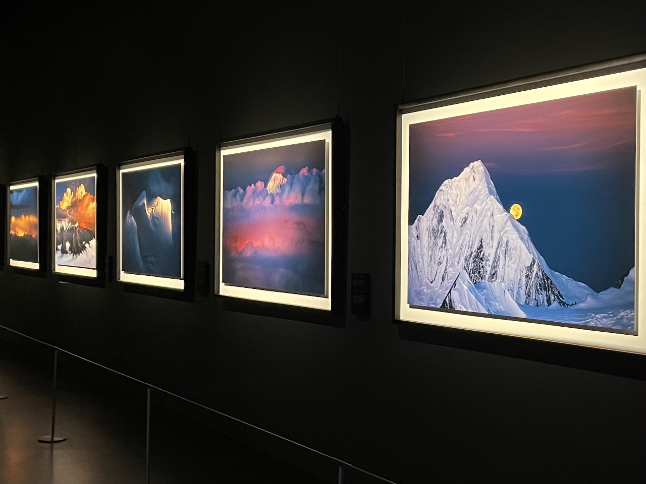 「宙醬」潮流藝術展在海上世界文化藝術中心展出