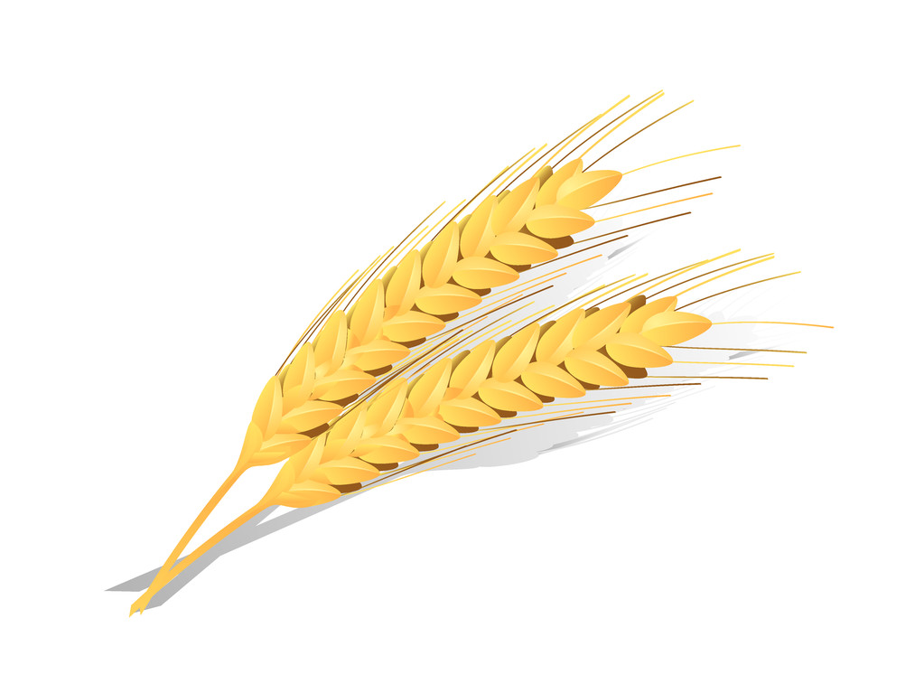 市场供应宽松 后市国内小麦价格整体回落空间有限