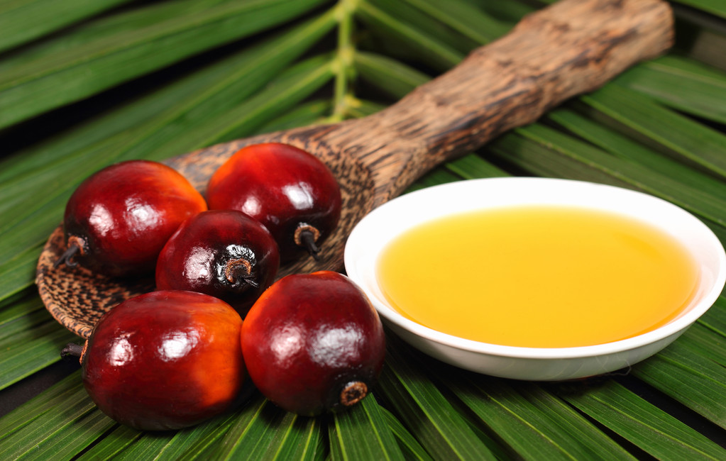 印尼油脂供应或重回市场 棕榈油期货弱势持续