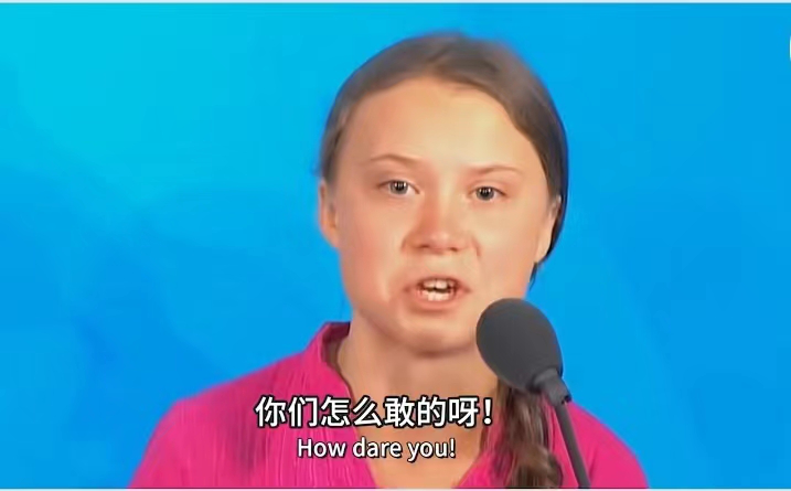 驰名双标“环保”少女！嘴上说着环保 实则政客的刀 刀刀扎向中国！