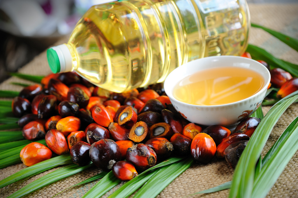 印尼提高棕榈油出口配额 棕榈油可能出现阶段性反弹