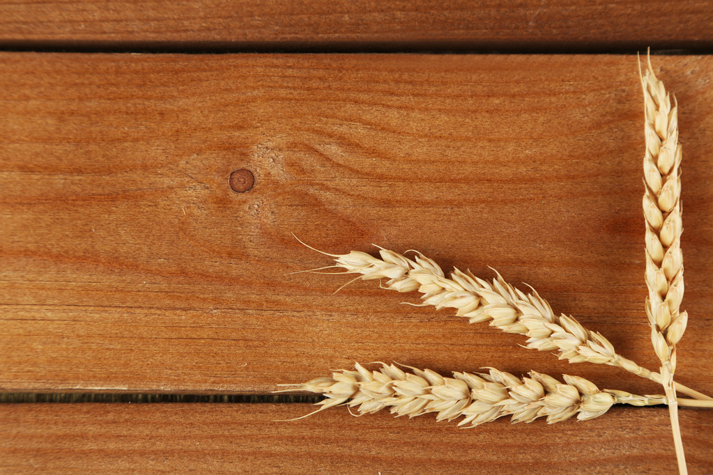 需求端难有明显改善 短期内小麦价格易跌难涨