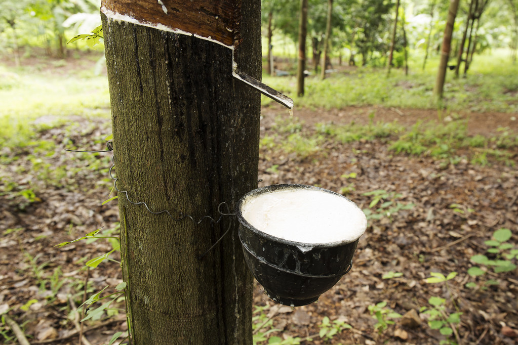 地产新开工依然低迷 橡胶下方空间不大