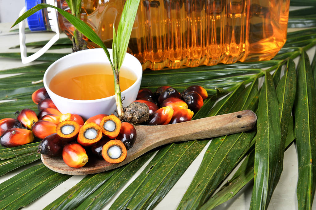 印尼生产商“重获生机” 棕榈油期货领涨油脂