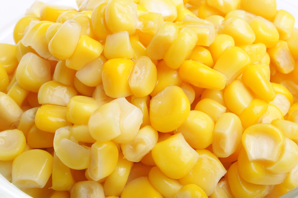 国内玉米供应偏宽松 短期反弹幅度预计有限
