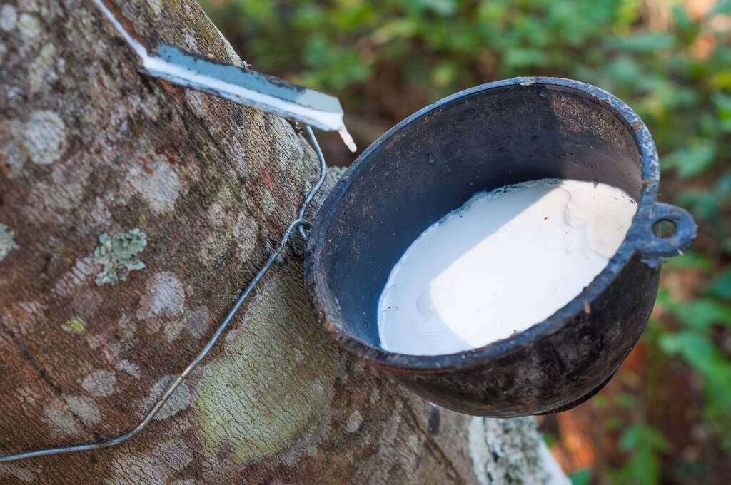 胶市情绪化表现明显 需求改善成橡胶走势关键