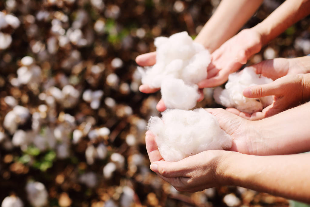 7月21日期市早报：橡胶供应端产出上量 棉花供需形势欠佳 