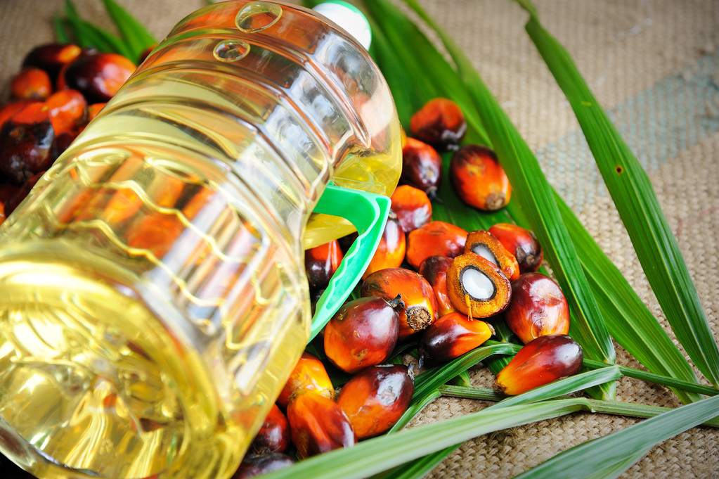 市场维持马来将累库的预期 棕榈油价格有望迎来企稳回升