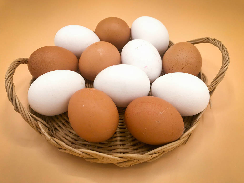 后期市场将进入消费旺季 鸡蛋期货低位存在短多机会
