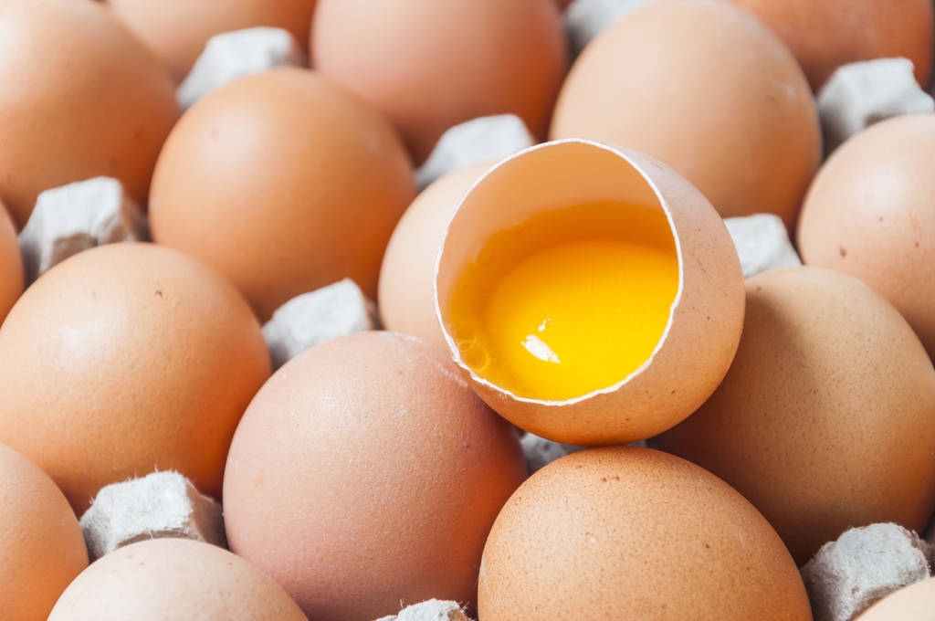 市场旺季不旺 鸡蛋现货价格延续回调