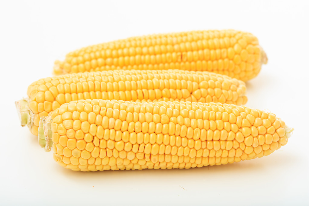 美国干旱天气越发加剧 玉米期价接近种植成本