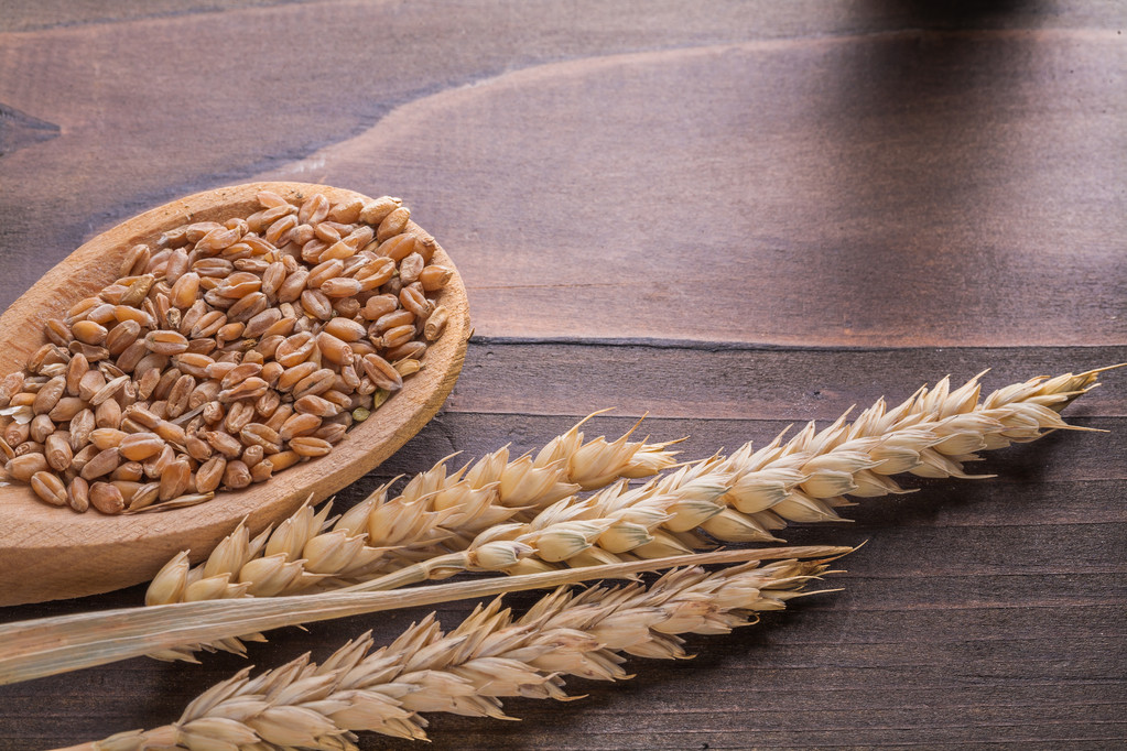 巴西帕拉纳州启动收割 美小麦价格或下跌