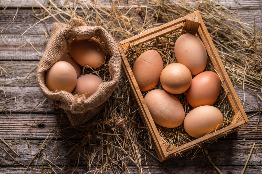 鸡蛋供应略紧 预计现货价格或将小幅上涨