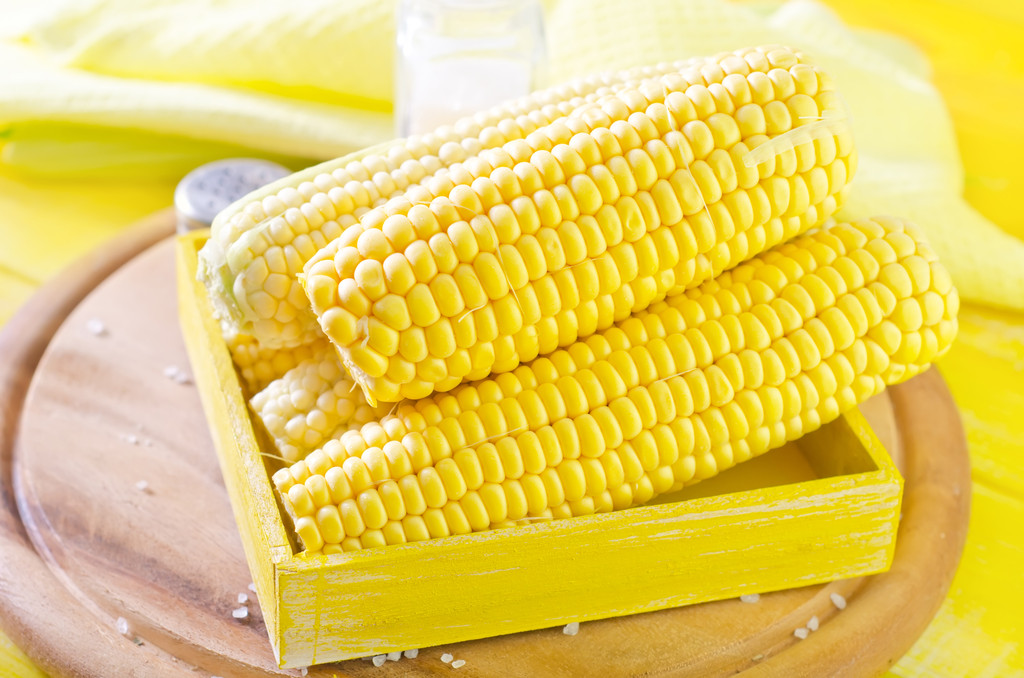 市场担忧新季美玉米产量 短期玉米下方空间有限