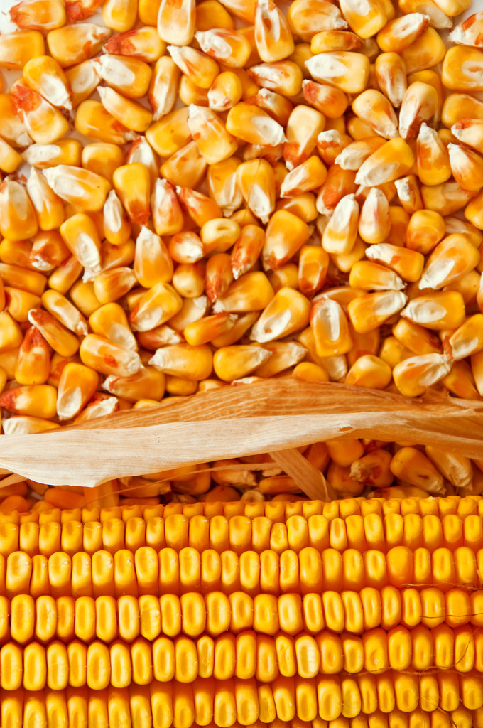 美国中西部及欧洲干旱破纪录 玉米期货盘面窄幅震荡