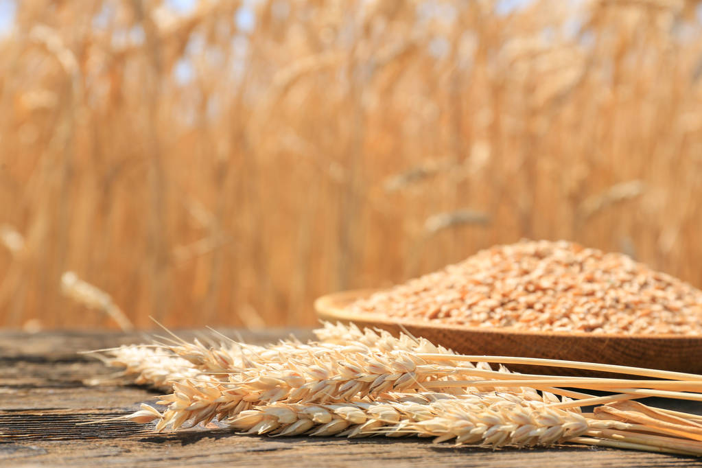 宏观经济形势担忧 CBOT小麦期价回吐涨幅