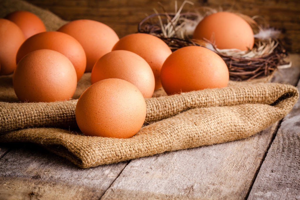 供需面继续博弈 鸡蛋现货价格高位震荡调整