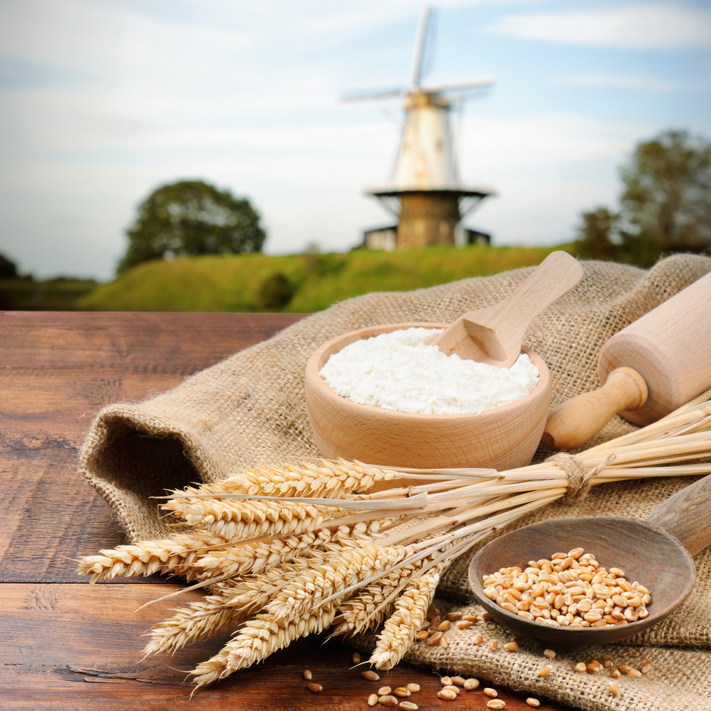 下游需求整体平稳 后市小麦市场将维持优质优价态势运行