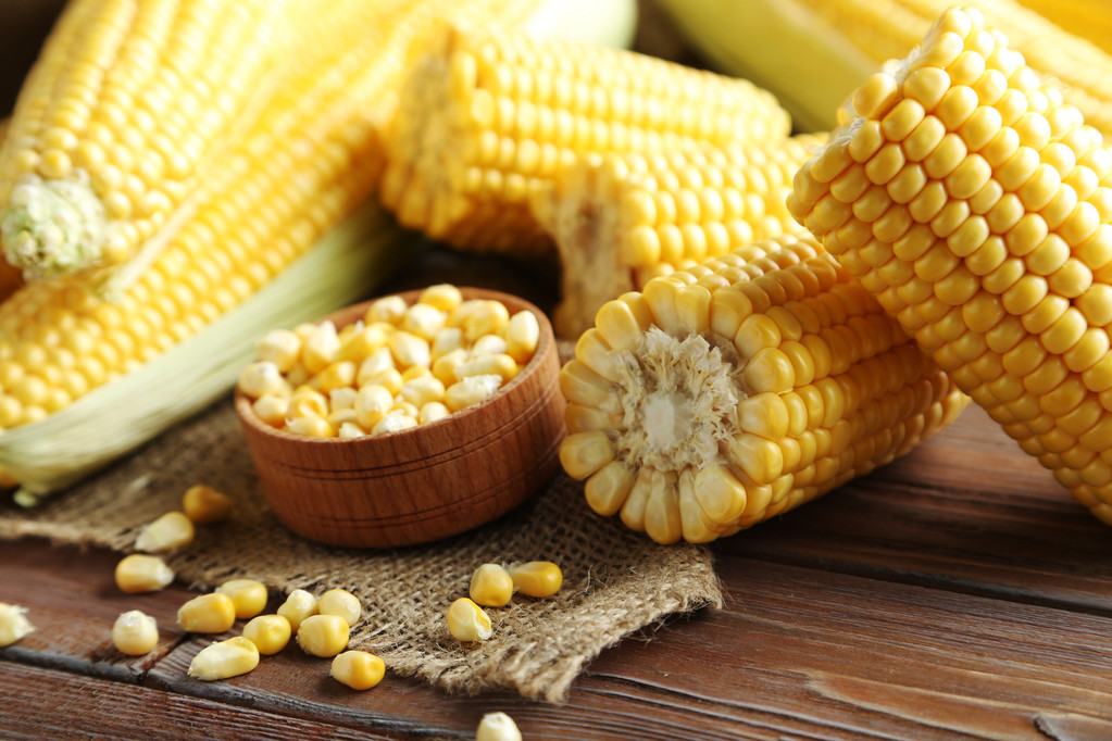 陈粮偏少+新粮到货不足 玉米深加工需求回升